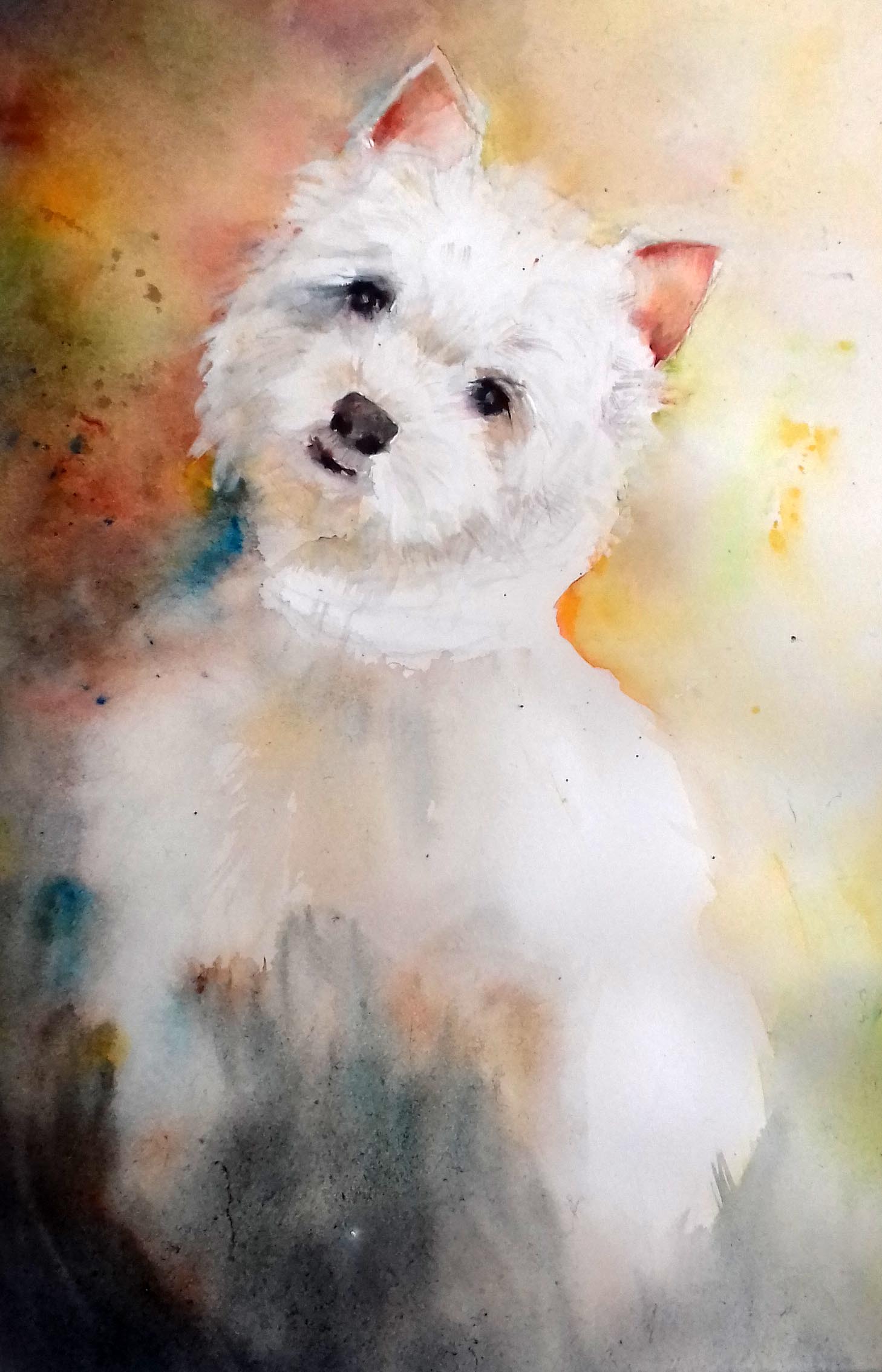 Animaux aquarelle
