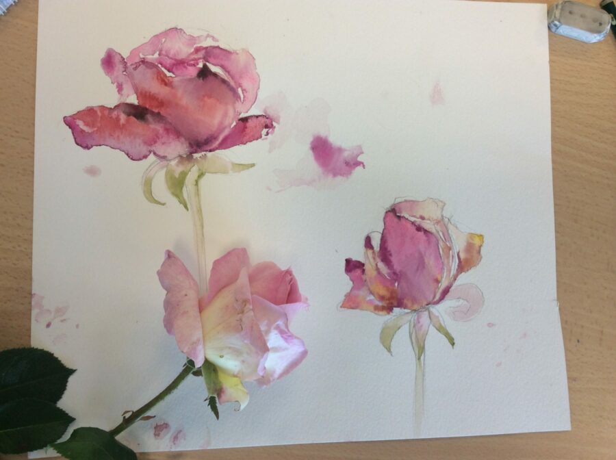 Fleur aquarelle