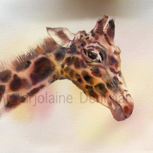 Animaux aquarelle