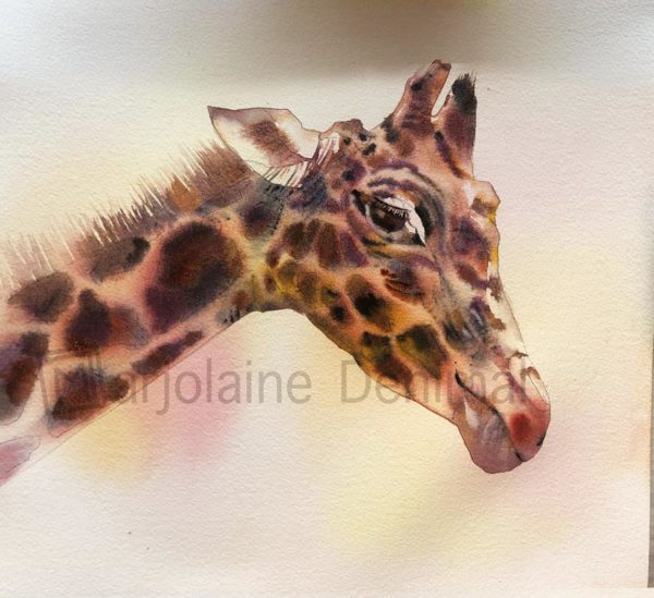 Animaux aquarelle