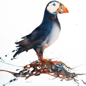 Animaux aquarelle