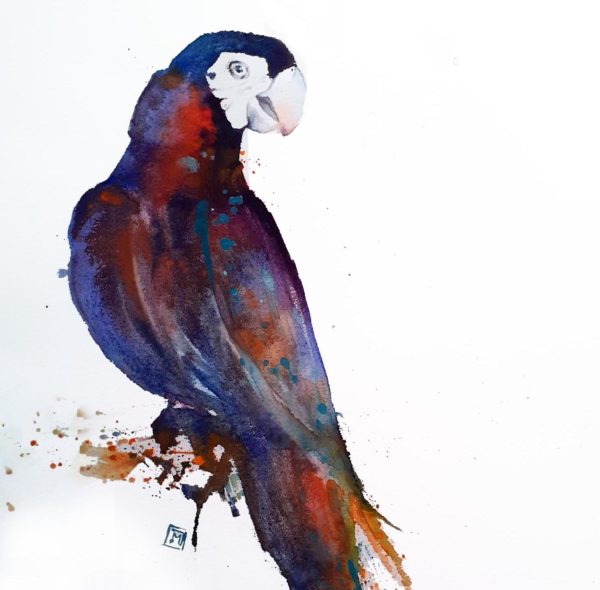 Animaux aquarelle