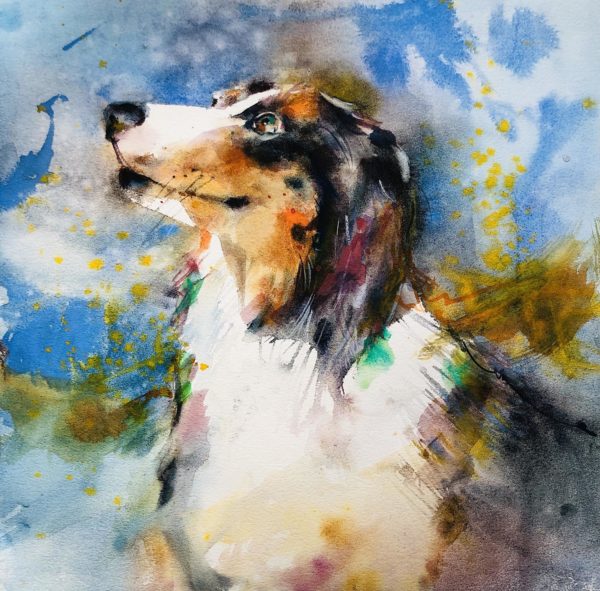 Animaux aquarelle