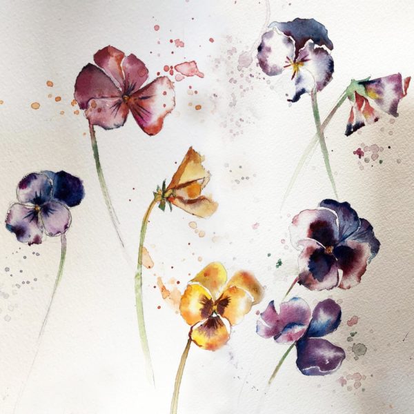 Fleur aquarelle