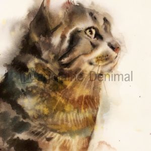 Animaux aquarelle