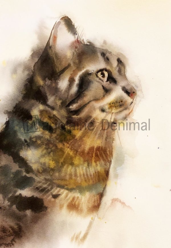 Animaux aquarelle