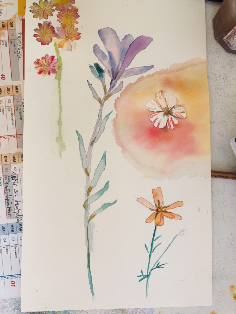 fleurs aquarelle en cours