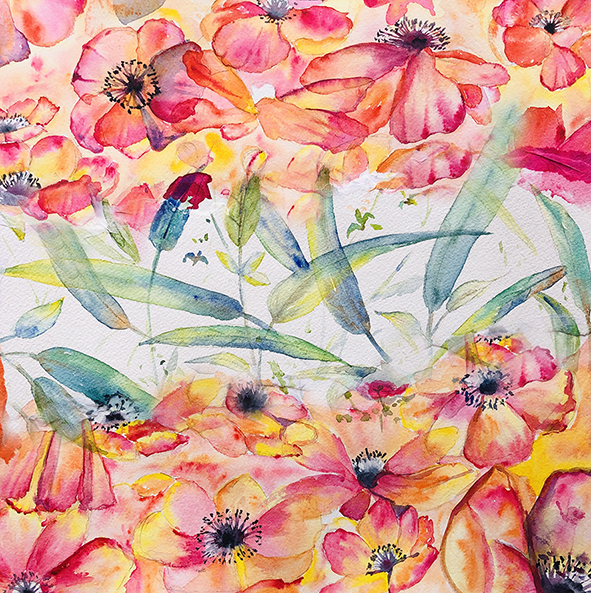 COURS AQUARELLE FLEURS 24