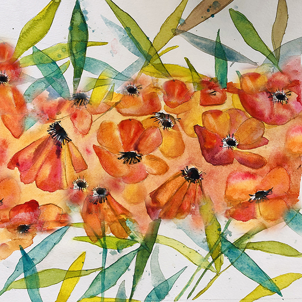 COURS AQUARELLE FLEURS 27