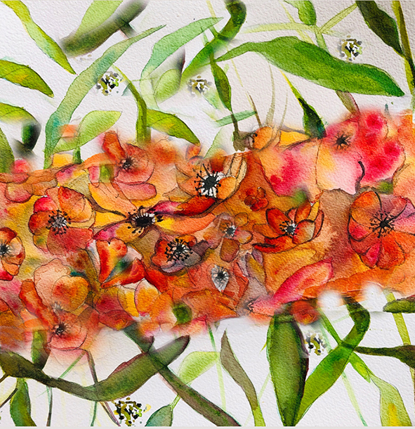 COURS AQUARELLE FLEURS 4