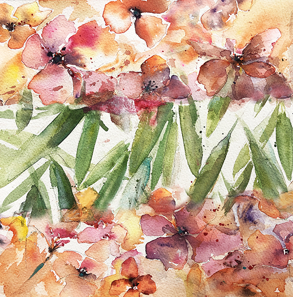 COURS AQUARELLE FLEURS 8