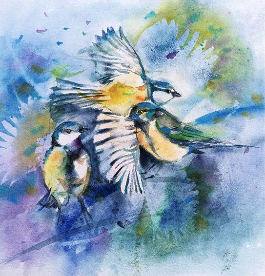 oiseau aquarelle