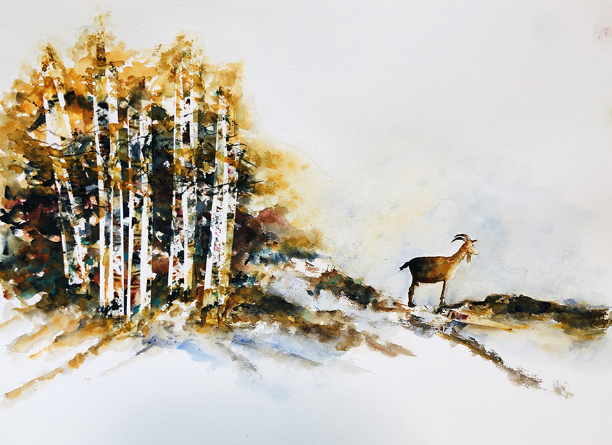 FORET AQUARELLE 15