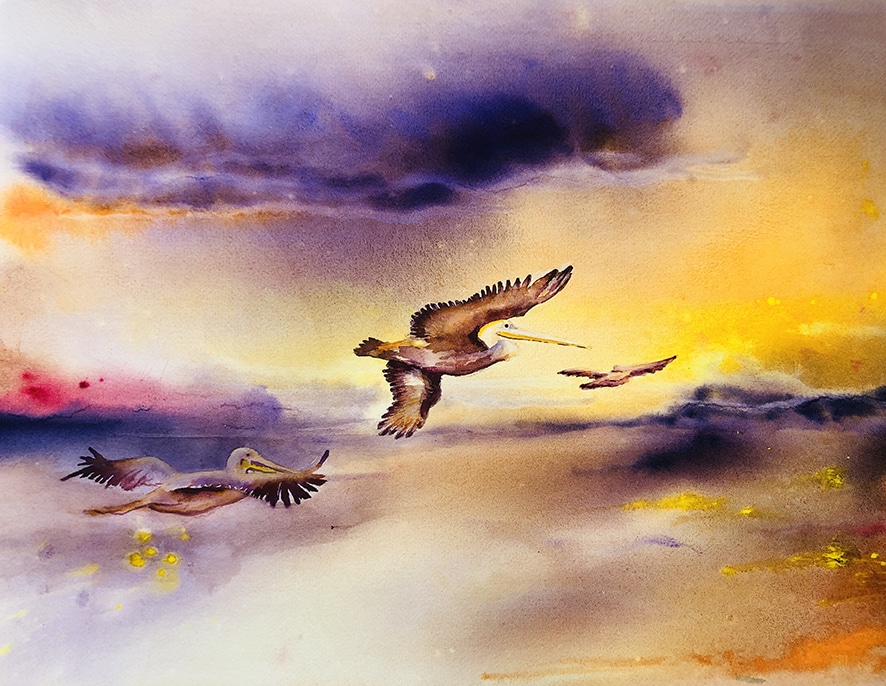 OISEAUX AQUARELLE 16