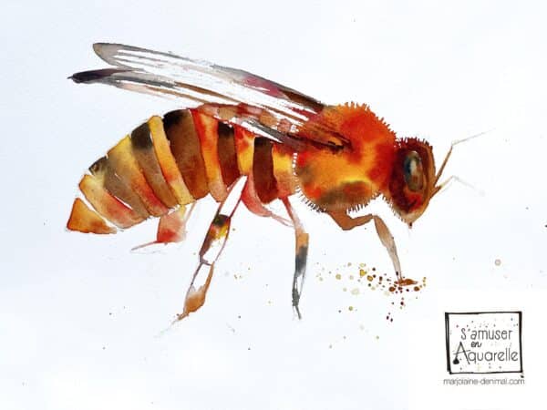 ABEILLE NIVEAU 2-COMPRIS 30 MIN DE FORMATION EN VIDÉO AVEC MOI